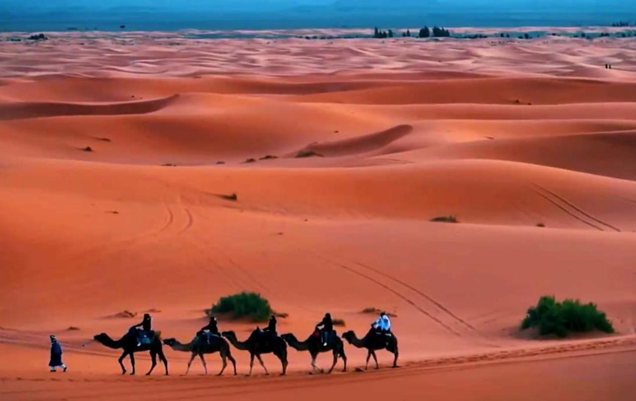 Bedouin Desert Camp Merzouga Εξωτερικό φωτογραφία